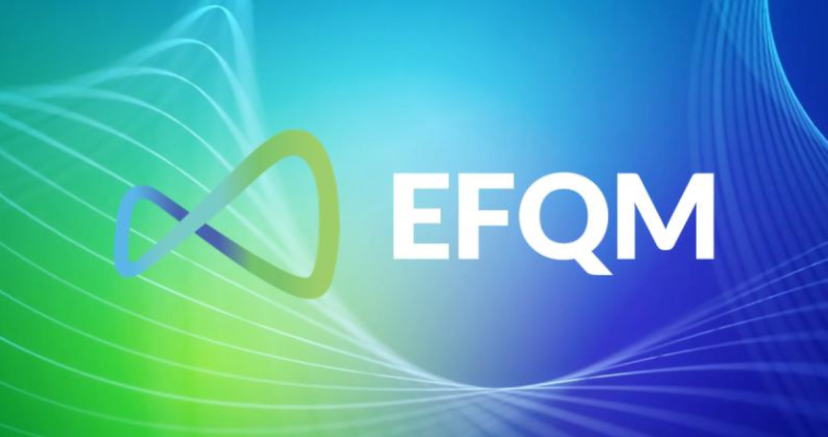 EFQM Mükemmellik Modeli: Temel İlkeler ve Uygulama Alanları